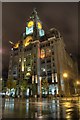 SJ3390 : Royal Liver Building at night by Geoff Wynne