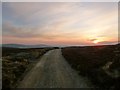 NS8916 : Track across grouse moor, Broad Law by Alan O'Dowd