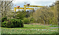 J3575 : "Samson" and "Goliath", Belfast (April 2015) by Albert Bridge