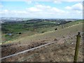 SE0816 : Hillside paddock, below Round Ings Road by Christine Johnstone