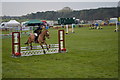 SJ5567 : Kelsall Hill Horse Trials: showjumping arena by Jonathan Hutchins