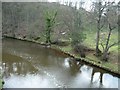 NZ8306 : The River Esk, downstream from a railway bridge by Christine Johnstone