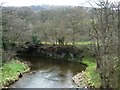 NZ8406 : The River Esk south [downstream] of a railway bridge by Christine Johnstone