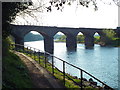 NY3856 : Disused railway viaduct, Carlisle by Malc McDonald