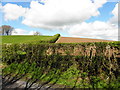 H4269 : Fields along Creevangar Road by Kenneth  Allen