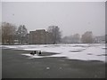 SE6250 : Ducks on ice by DS Pugh