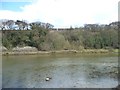 NZ8909 : The tidal River Esk, with its mud banks covered by Christine Johnstone