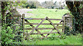 J4947 : Field gate, Downpatrick  - May 2015(1) by Albert Bridge