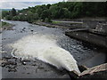 NN9357 : Pitlochry dam by Bill Kasman