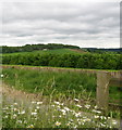 SO8612 : From Cud Hill grid over Spoonbed - Upton St Leonards, Gloucestershire by Martin Richard Phelan