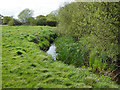 SU9961 : The River Bourne near Mimbridge by Alan Hunt