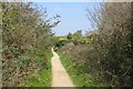 SY4691 : Bridport Railway by Richard Webb