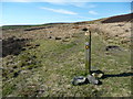 SE0227 : Waymark on the Calderdale Way, Mytholmroyd by Humphrey Bolton