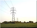 TQ6589 : Pylons at Dunton, Essex by Malc McDonald