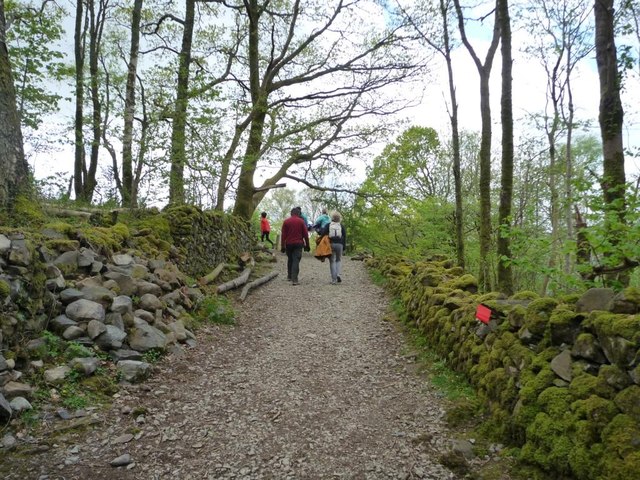 Public footpath through Springs Wood