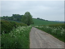  : Farm track, The Elms by JThomas