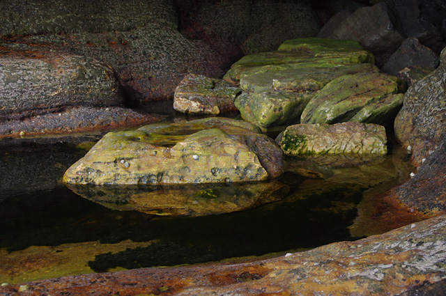 Rock-pool