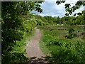 ST2079 : Path in Howardian Nature Reserve, Cardiff by Robin Drayton