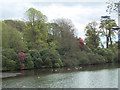 SS8086 : Spring trees and shrubs by Margam Lake by eswales