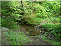 SE1327 : Stepping stone crossing of Royds Hall Beck, North Bierley by Humphrey Bolton