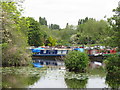 TQ0588 : Narrowboat Summer Wine, of Aynho, in Harefield Marina by David Hawgood