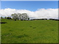 H5572 : Basically blue, white and green, Mullaghslin Glebe by Kenneth  Allen