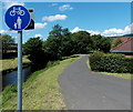 ST0381 : Riverside footpath and cycleway, Pontyclun by Jaggery