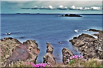  : Coast Path Near Mill Haven by Deborah Tilley