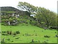 SH5741 : Field boundary, east of Ty Mawr by Christine Johnstone