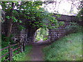 NO5398 : Footpath under the old North Deeside Road in Aboyne by Stanley Howe