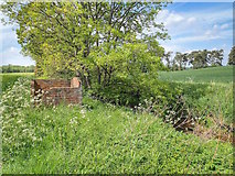  : Ruin, Holme Beck by Mick Garratt