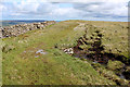  : Bridleway on Wether Fell by Chris Heaton