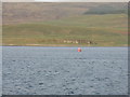 NM5550 : Buoy in the Sound of Mull by M J Richardson