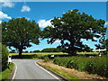 TQ6496 : Country lanes near Mountnessing, Essex by Malc McDonald