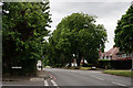 TQ2463 : Cheam Road, Cheam by Peter Trimming