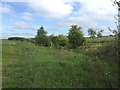 SJ8147 : Silverdale Country Park: Waste Farm Meadows by Jonathan Hutchins