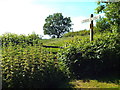 TL4801 : Public bridleway near Epping by Malc McDonald