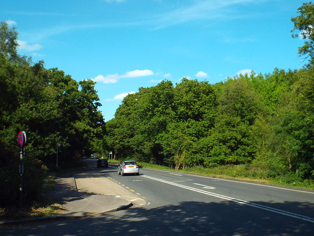 Epping Road, Epping Forest