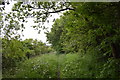 SJ8047 : Footpath between Silverdale and Scot Hay by Jonathan Hutchins