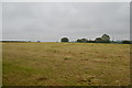 SJ8047 : Field outside Scot Hay by Jonathan Hutchins