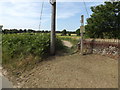 TM3563 : Footpath to the B1119 Low Road by Geographer