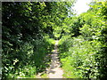 SJ5173 : Footpath at Wheeldon Copse by Jeff Buck