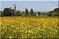 SO8842 : Buttercups and Dunstall Castle by Philip Halling