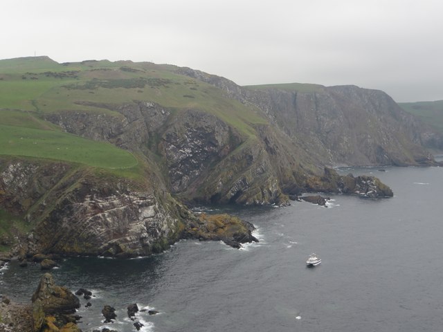 Looking west across the cliffs at St Abbs Head