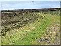 NZ0941 : Course of Dismantled Railway by Mick Garratt