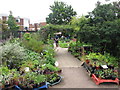 TQ3383 : St Mary's Secret Garden, Hoxton by David Hawgood