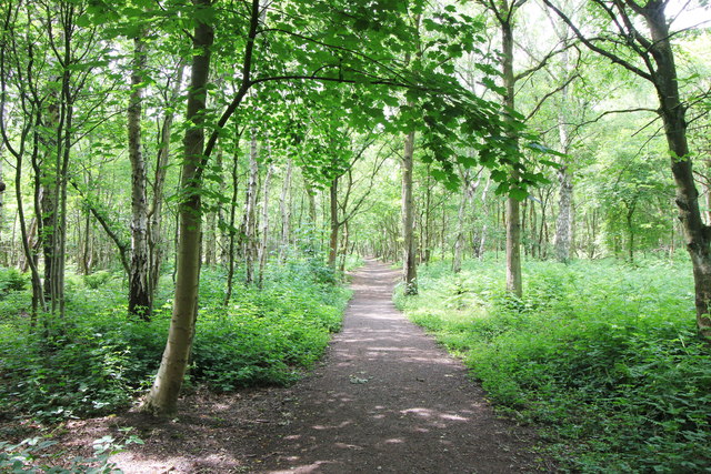 Little Budworth Country Park