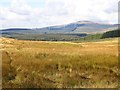 NT0601 : Rough grazing off Crooked Road by Richard Webb