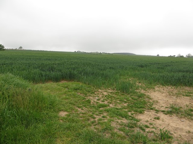 Arable land at The Loan