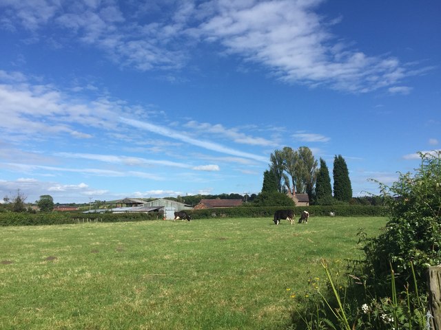 Audley: a County Council farm on Park Lane